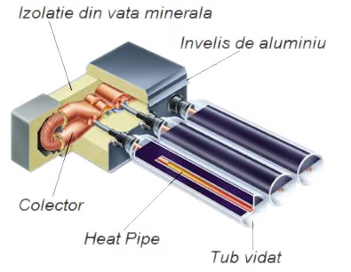 colector